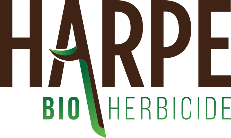 Harpe Logo