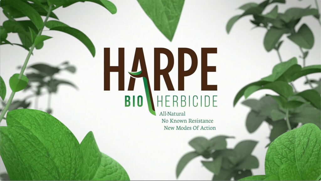 Modern Agriculture Podcast From Harpe Bio Featured Image